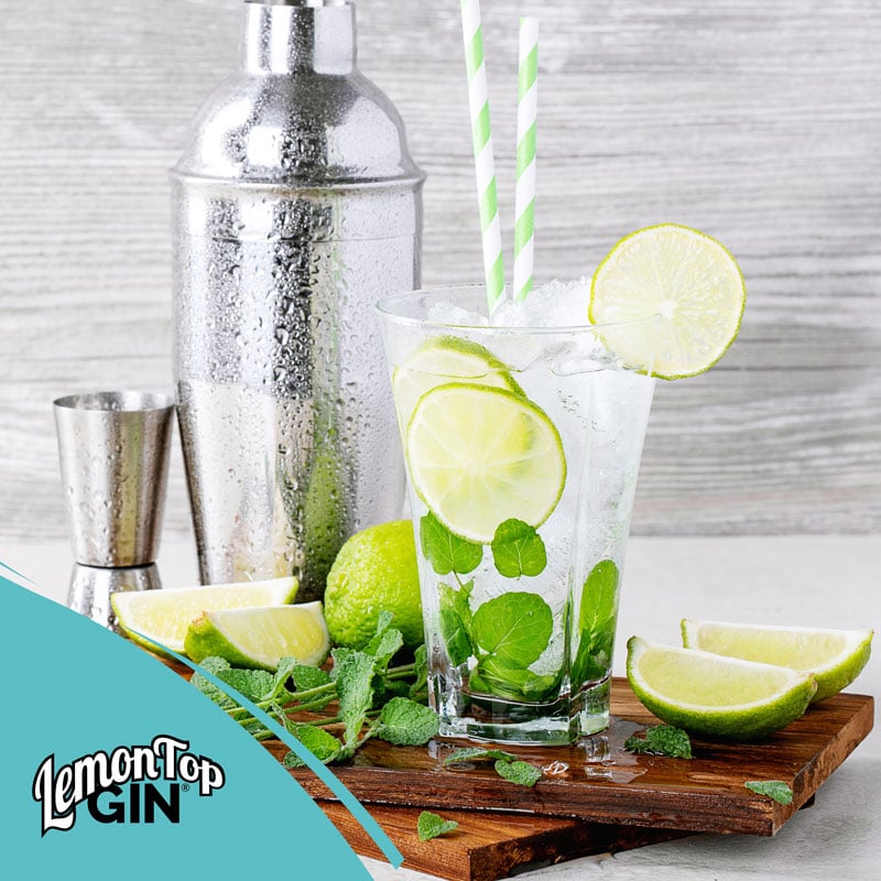 LemonTop Gin Mojito Cocktail Recipe