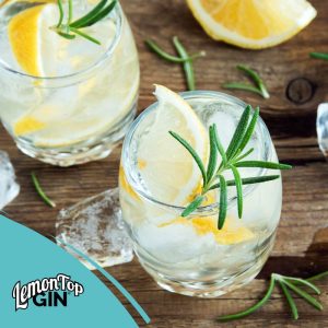 LemonTop Gin and Lime Seltzer Cocktail Recipe