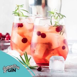 Cranberry & Lemon Spritzer Cocktail with LemonTop Gin