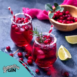 Berry Merry Christmas Cocktail with LemonTop Gin