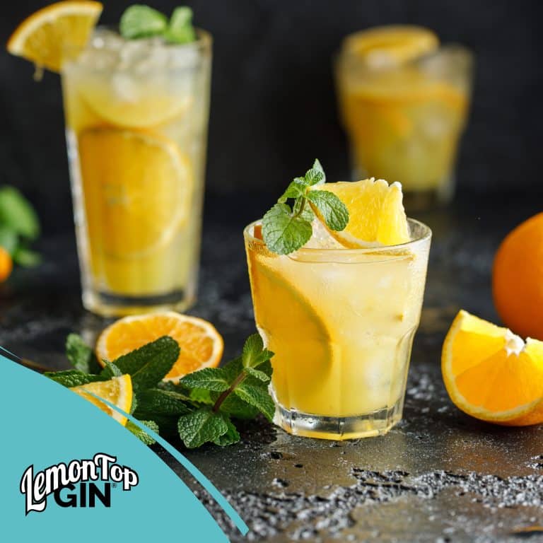 Orange Lemon Gin Cooler Cocktail