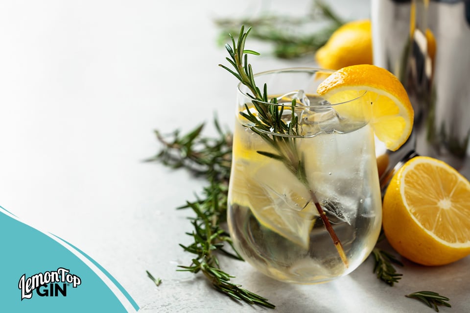 Rosemary Gin Fizz Cocktail
